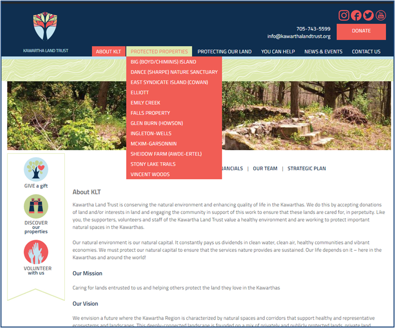 New website screenshot