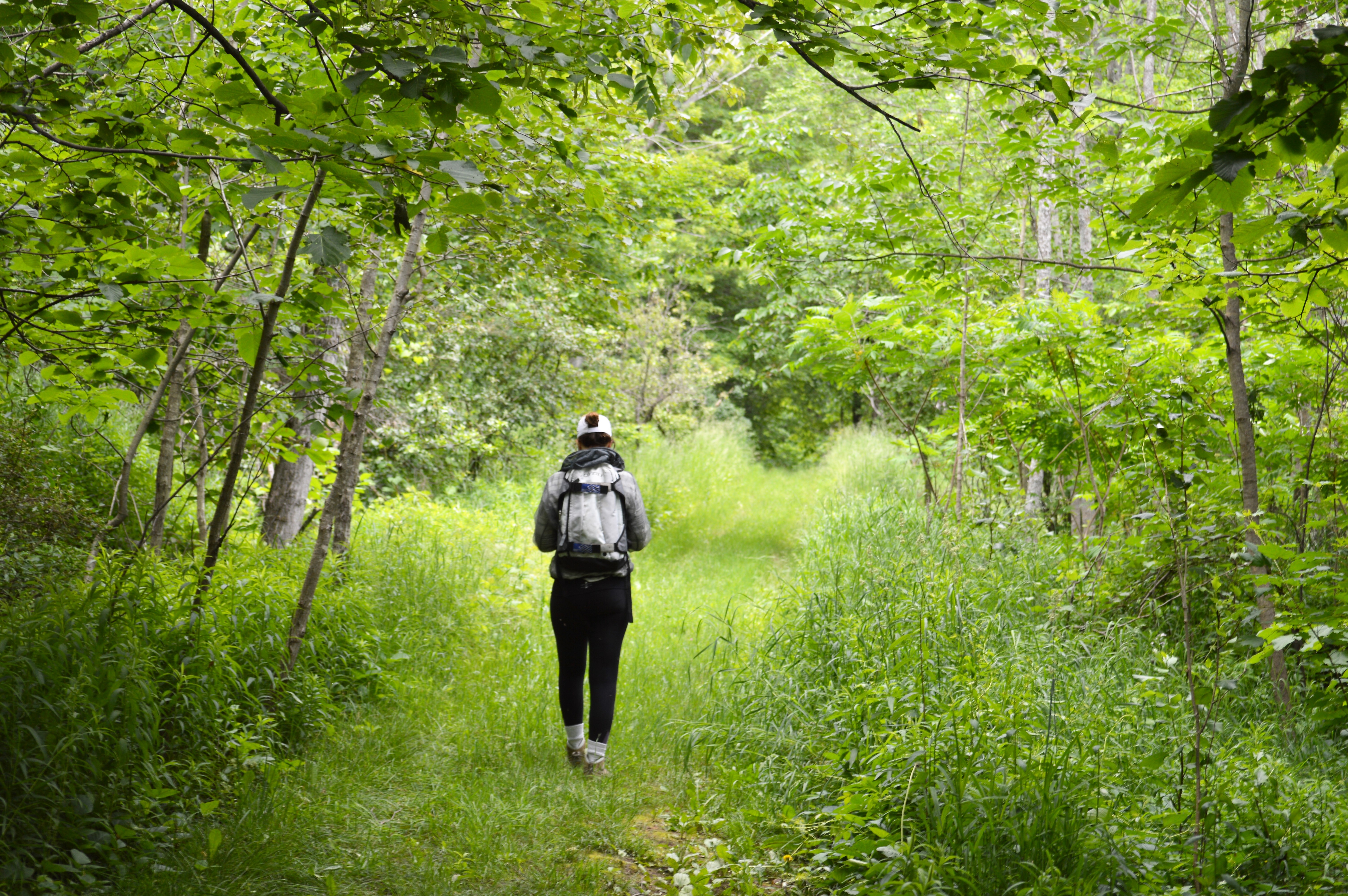 person walking on a trial