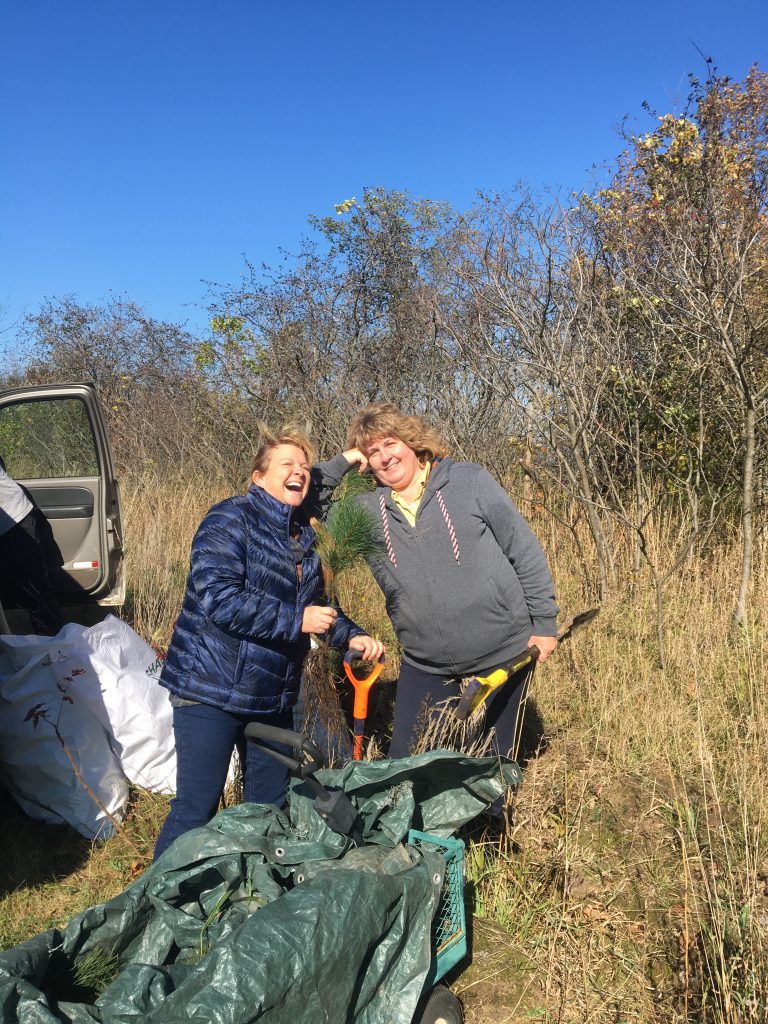 Tree Planting 