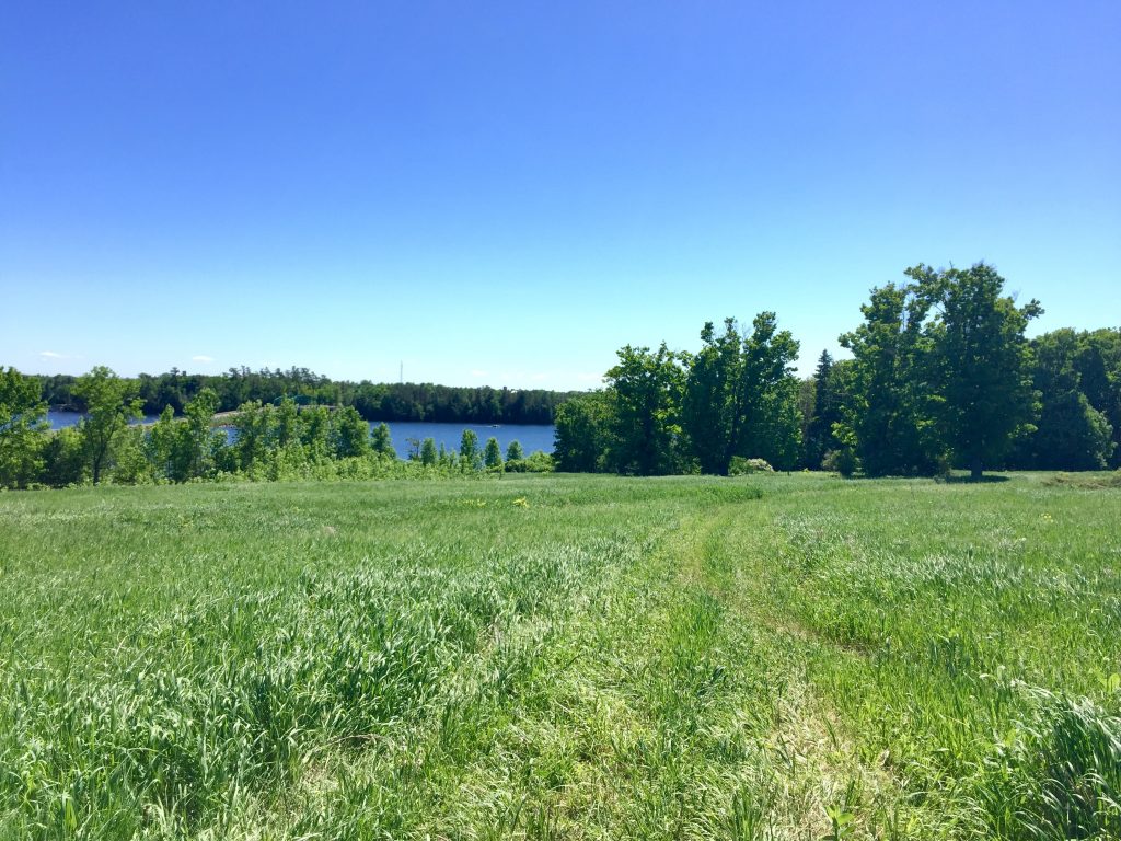 John Earle Chase Memorial Park overlooking Pigeon Lake