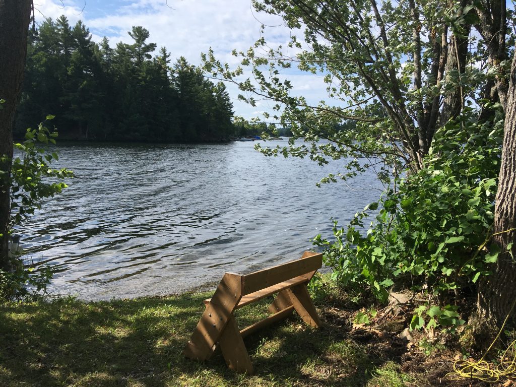 Waterfront area at Jeffrey-Cowan Forest Preserve