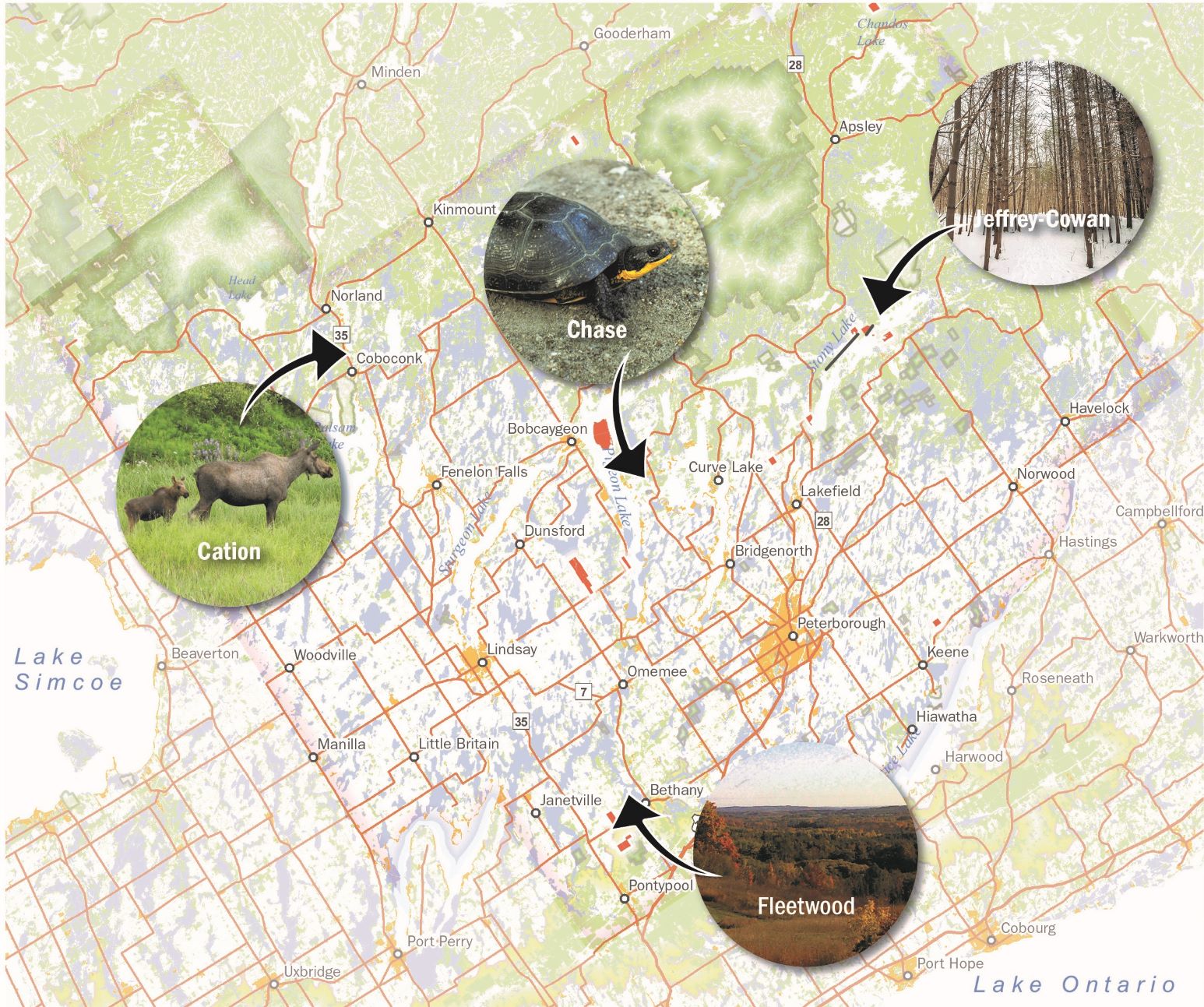 2018 KLT Highlights Map