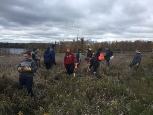 Students planting shrubs at Chase