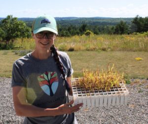 Rachel Barrington holding tray of tallgrass seedlings at Ballyduff Trails