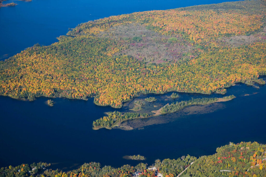 Big (Boyd/Chiminis) Island Image