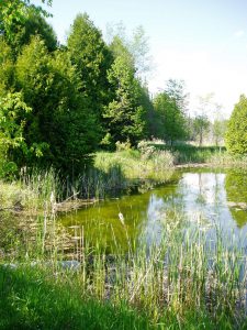 Dance (Sharpe) Nature Sanctuary