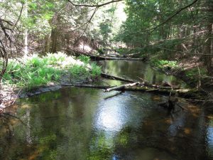 Falls Property Image