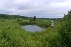 Shiedow Farm