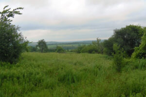 Shiedow Farm