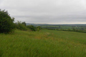 Shiedow Farm