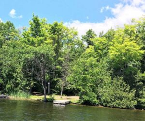 Dock at Jeffrey-Cowan Forest Preserve