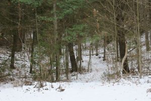 Hartley Property