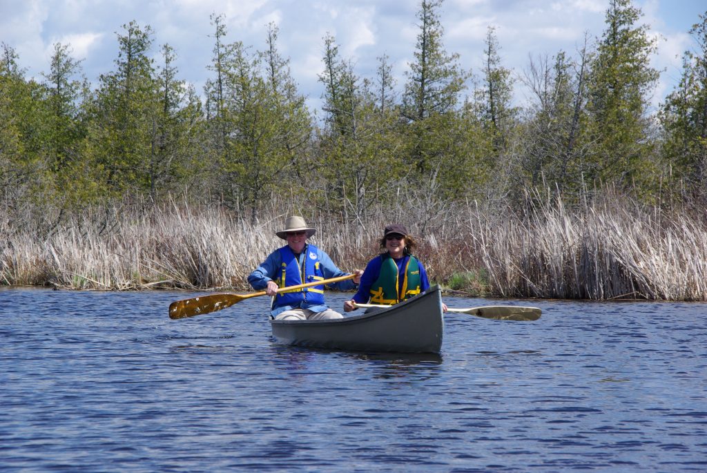 Two people canoeing in a wetland