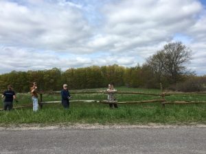 Fencing