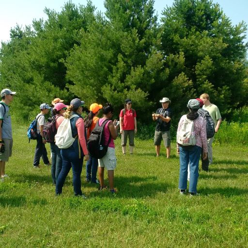 New Canadian Centre Walk at Ballyduff Trails in Kawartha Lakes. 