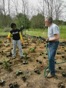 Pearl Andrew and David Marshall planting trees at Dance Nature Sanctuary