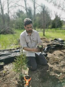 Volunteer planting a shrub at Dance Nature Sanctuary