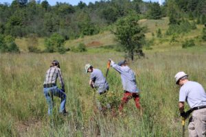KLT staff and a volunteer at tallgrass plug planting day - Ballyduff Trails