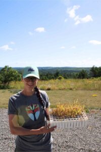 Rachel Barrington holding tray of tallgrass seedlings at Ballyduff Trails