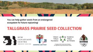 Tallgrass Prairie Seed Collection banner