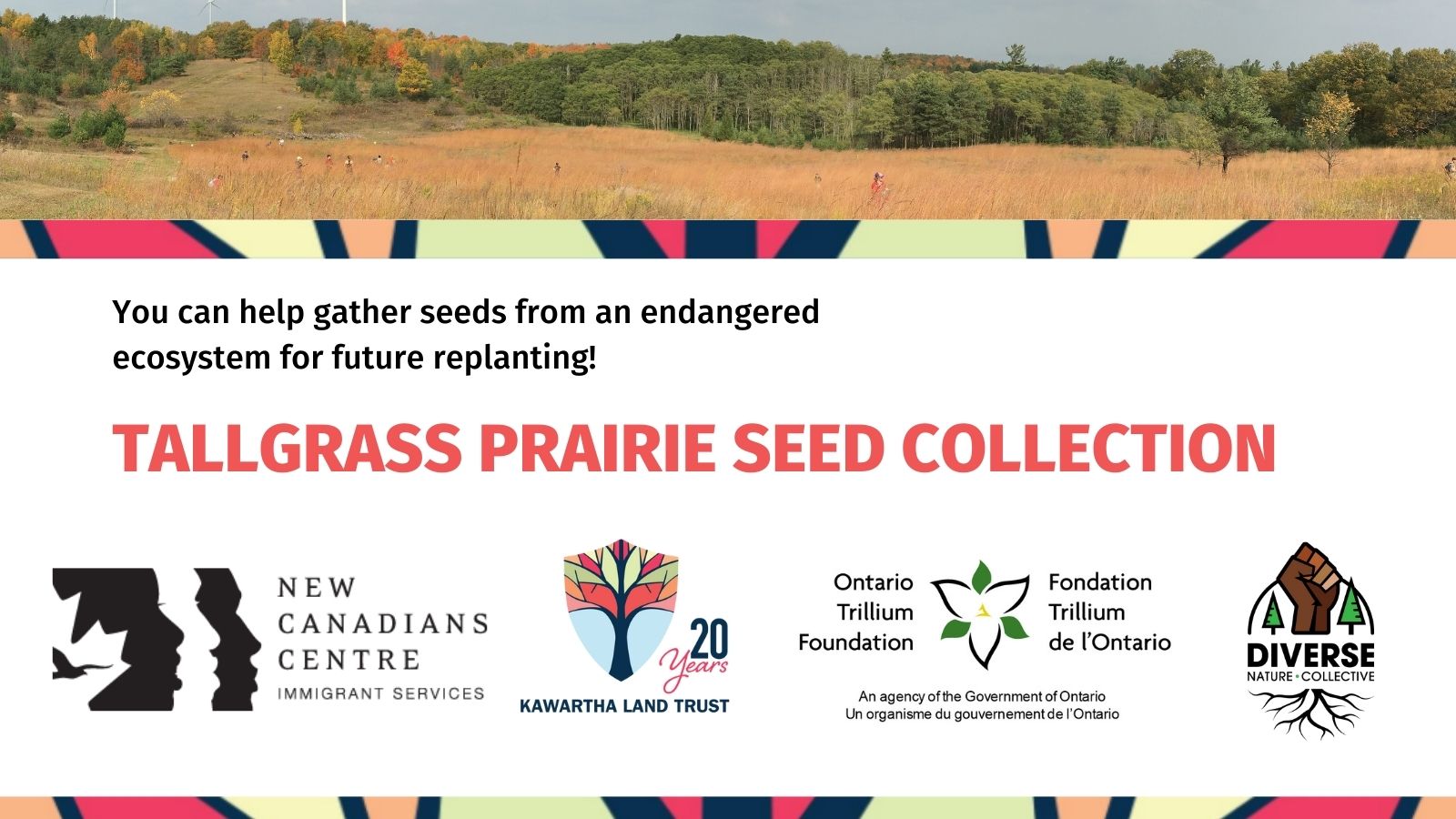 Tallgrass Prairie Seed Collection banner