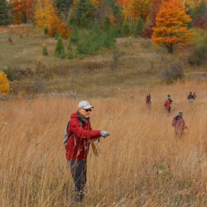 Volunteers collecting tallgrass seeds at Ballyduff Trails on a fall day