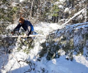 Volunteer removing downed tree on snowy Ballyduff Trails trali