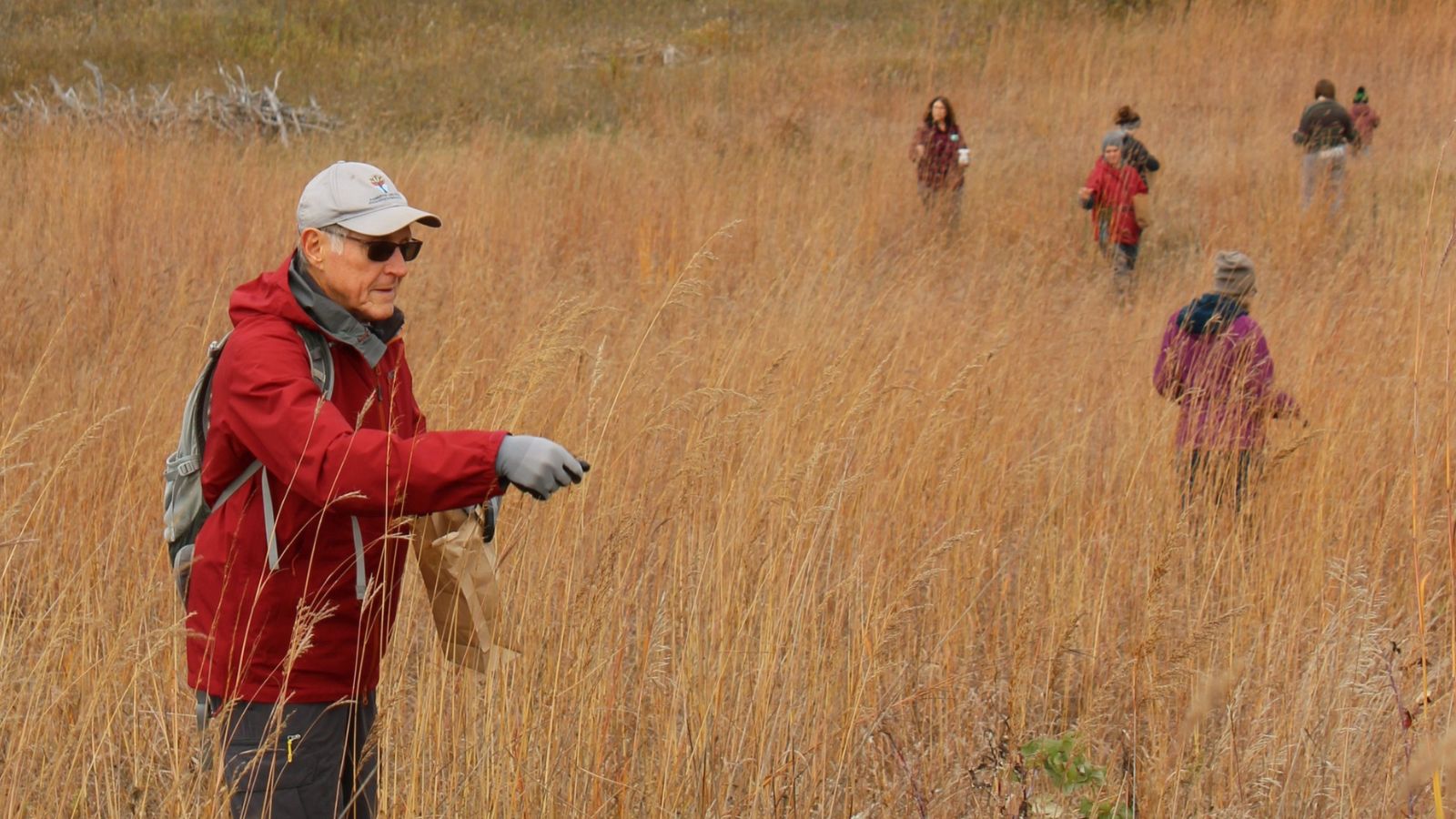 Evan Thomas in foreground and other volunteers in background collecting tallgrass seeds at Ballyduff Trails