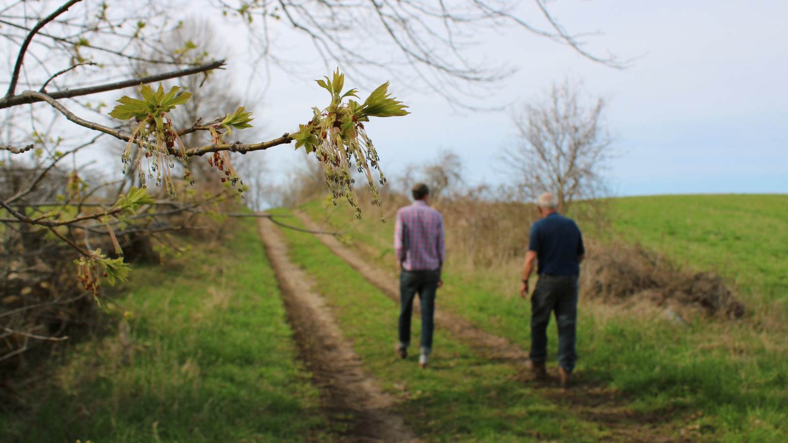 Thom Unrau and Bruce Kidd walking on Kidd Farm