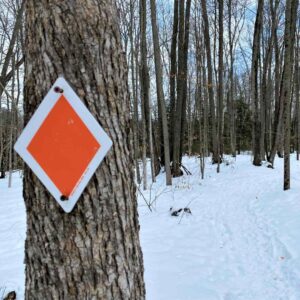 Orange hiking blaze on tree by winter trail