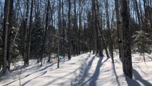 John Earle Chase Memorial Trail in winter