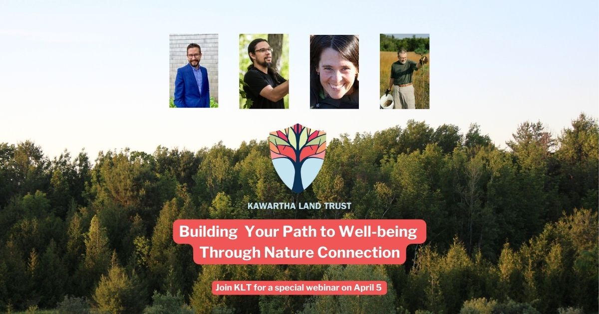 Wellness webinar banner