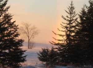 Sunset photo of woods and meadow in winter. Sky is rainbow hued.