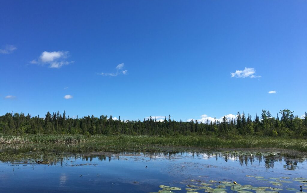 Shoreline of Kawartha Land Trust's DeNure Conservation Easement Agreement on Balsam Lake