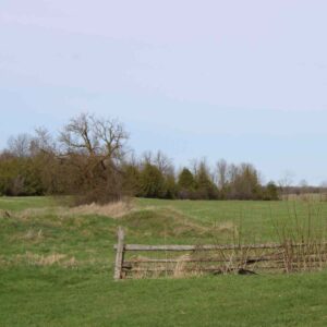 Kidd Farm Spring 2022