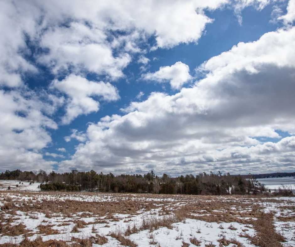 Snowy meadow at John Earle Chase Memorial Park in Trent Lakes. Buckhorn Lake in view.