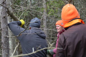 Three Kawartha Land Trust volunteers clearing a hiking trail at Heber Rogers Wildlife Area, ORCA