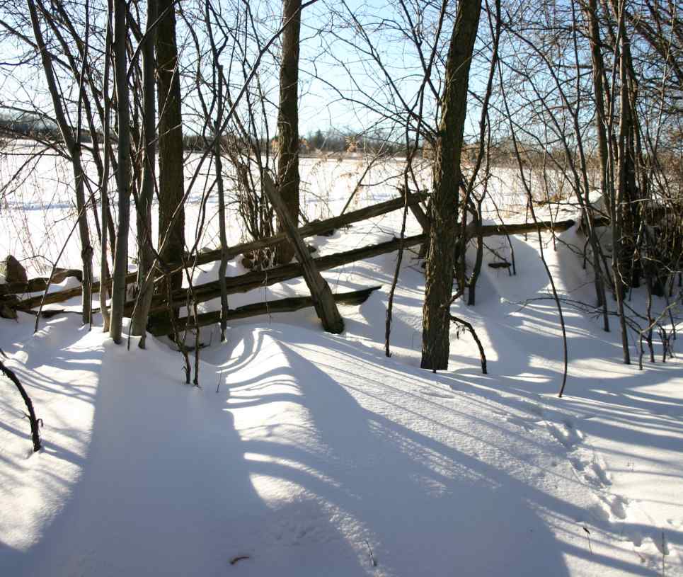 Fields and fence in winter at Schipper-Gamiing Nature Reserve in Kawarthas