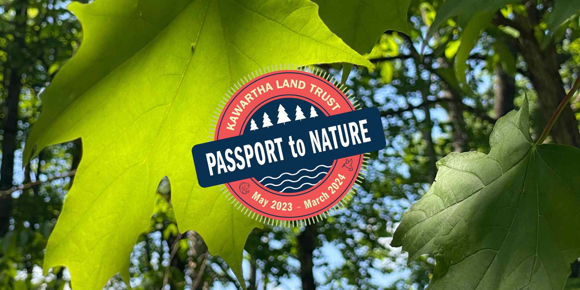 Maple leaves in summer and Passport to Nature logo