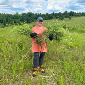 Canadian Conservation Corps Intern Melanie Beaulieu holding White Sweet Clover that was removed to support the tallgrass prairie