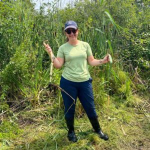 Land Stewardship Technician Jazz Barrick removing Invasive Phragmites from KLT's Emily Creek Wetland