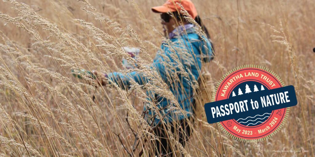 Volunteer collecting tallgrass seeds. Passport to Nature logo.