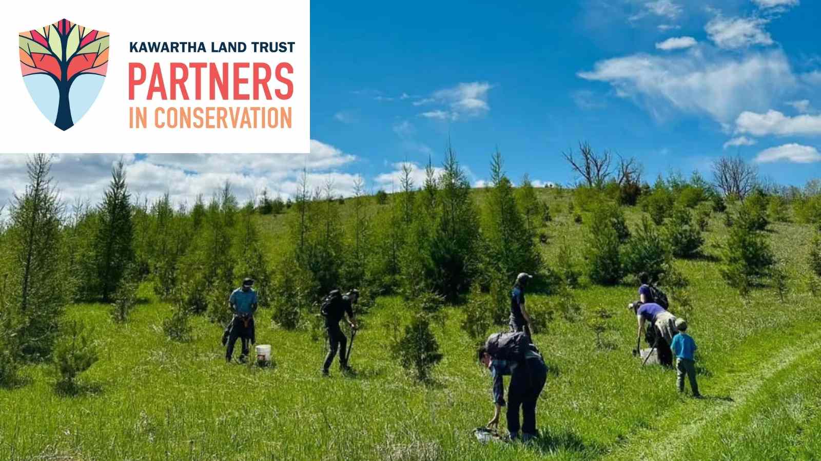 Kawartha Land Trust Partners in Conservation Logo. Photo of people planting trees.