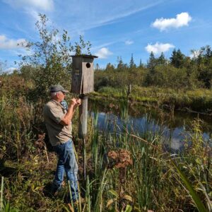 KLT volunteer installing a Wood Duck box in a wetland as part of a Kawartha Land Trust Partners in Conservation project.