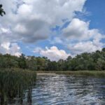 Wetland at Hammer Family Nature Preserve