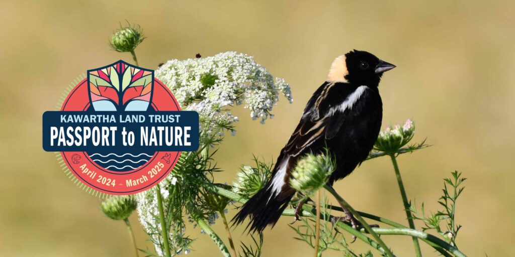 KLT Passport to Nature Birding for Everyone