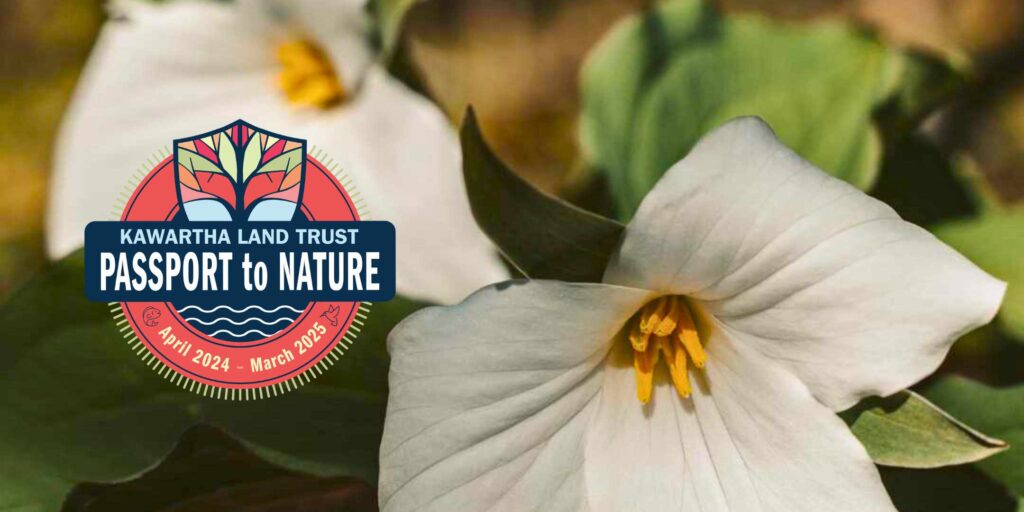 Passport to Nature logo. White Trilliums