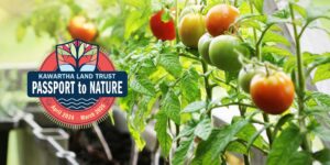 Passport to Nature Grow Without A Garden Banner