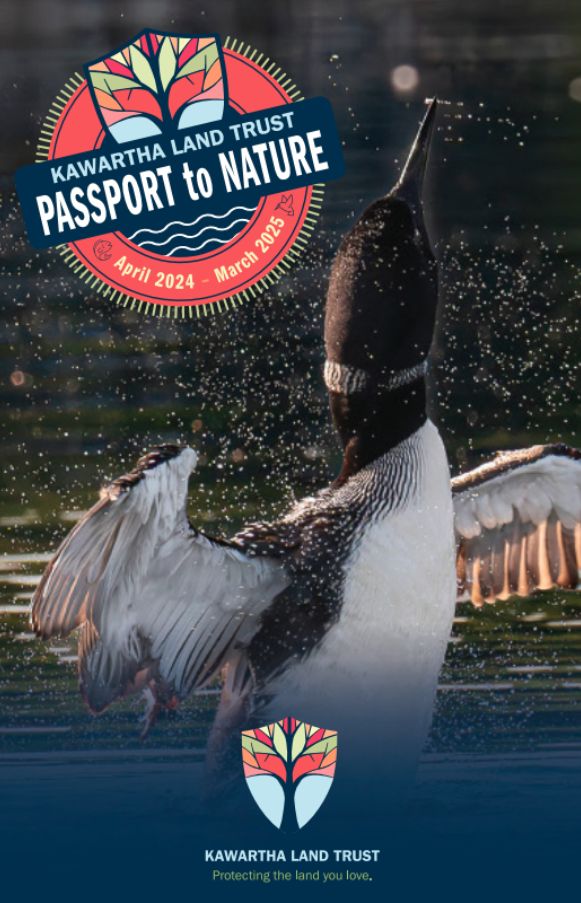 Passport to Nature Cover. Cover photography of loon by Stephanie Lake