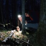 Two volunteers searching for salamanders in the night